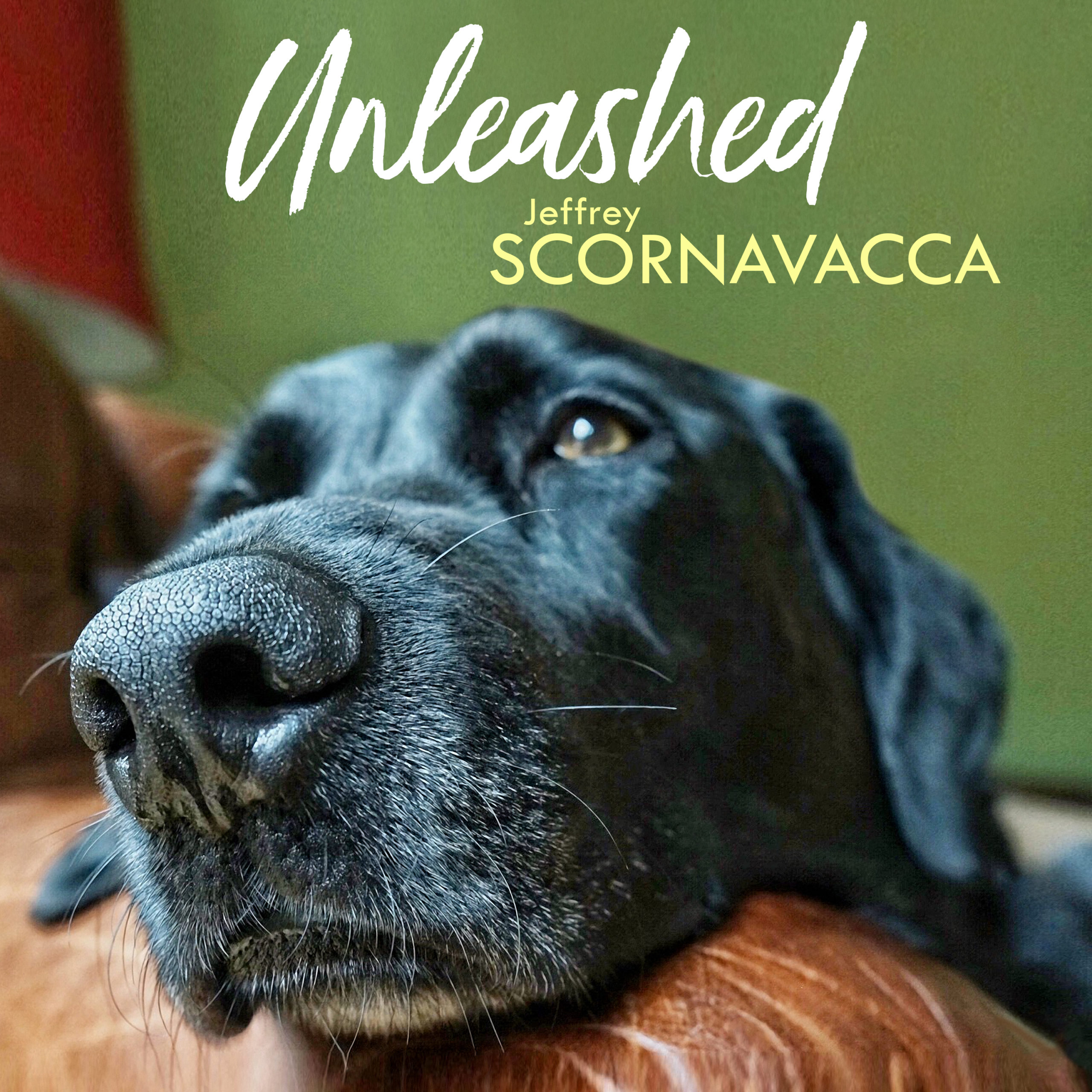 Unleashed - Jeffrey Scornavacca Music